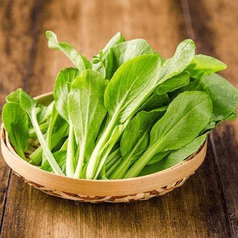 盐城食材批发
